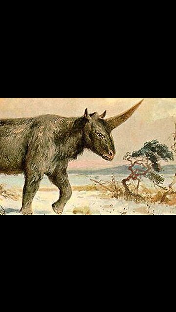 What! Unicorns Really Exist #fyp #conspiracy #conspiracytherory #unicorn #montreal