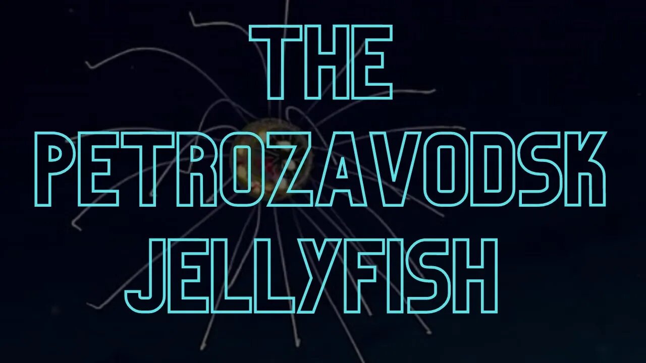 The Petrozavodsk Jellyfish