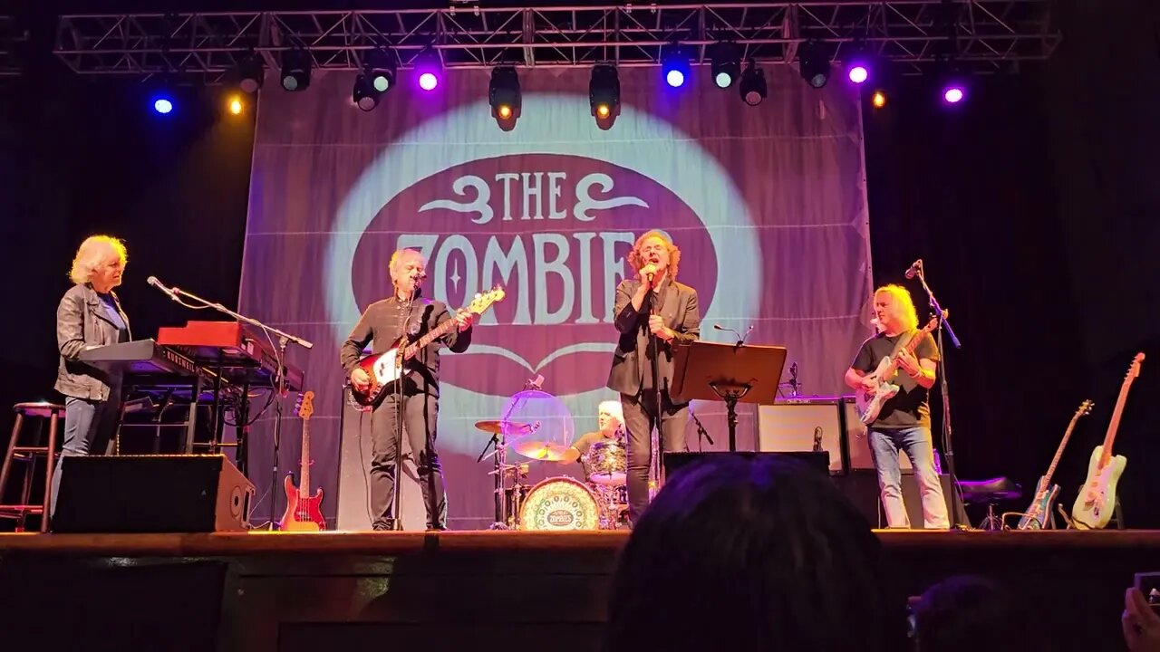 Zombies in Houston song Tell Her No