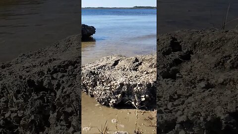 Apalachee Bay, Florida waves hitting rocks asmr #shorts