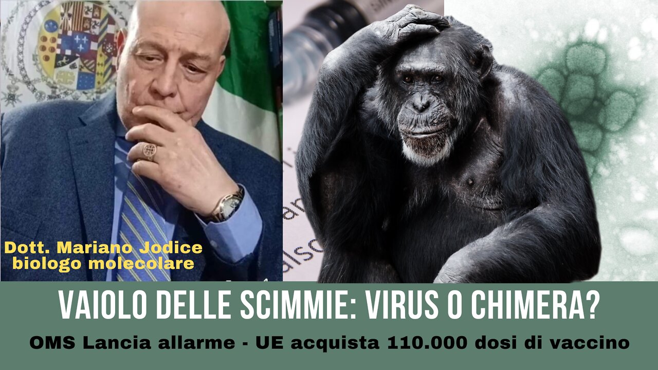 VAIOLO DELLE SCIMMIE VIRUS O CHIMERA? (Dott. M. Jodice)