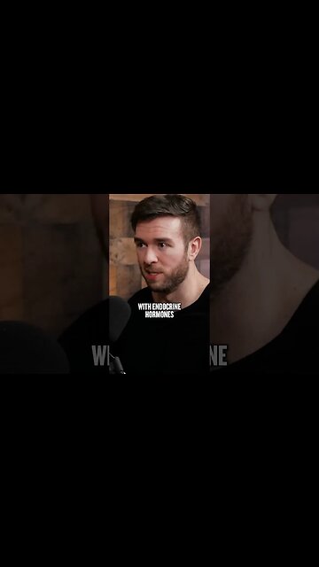 More Plates More Dates Reacts To Andrew Huberman