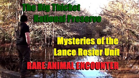 The Big Thicket National Preserve | Mysteries of the Lance Rosier Unit | Documentary