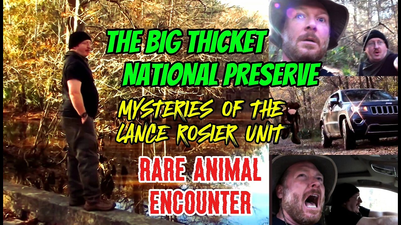 The Big Thicket National Preserve | Mysteries of the Lance Rosier Unit | Documentary
