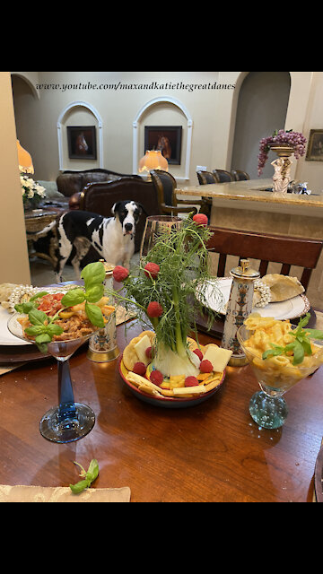 Great Dane Checks Out Funny Fennel Raspberry Tree and Quarantini Martinis