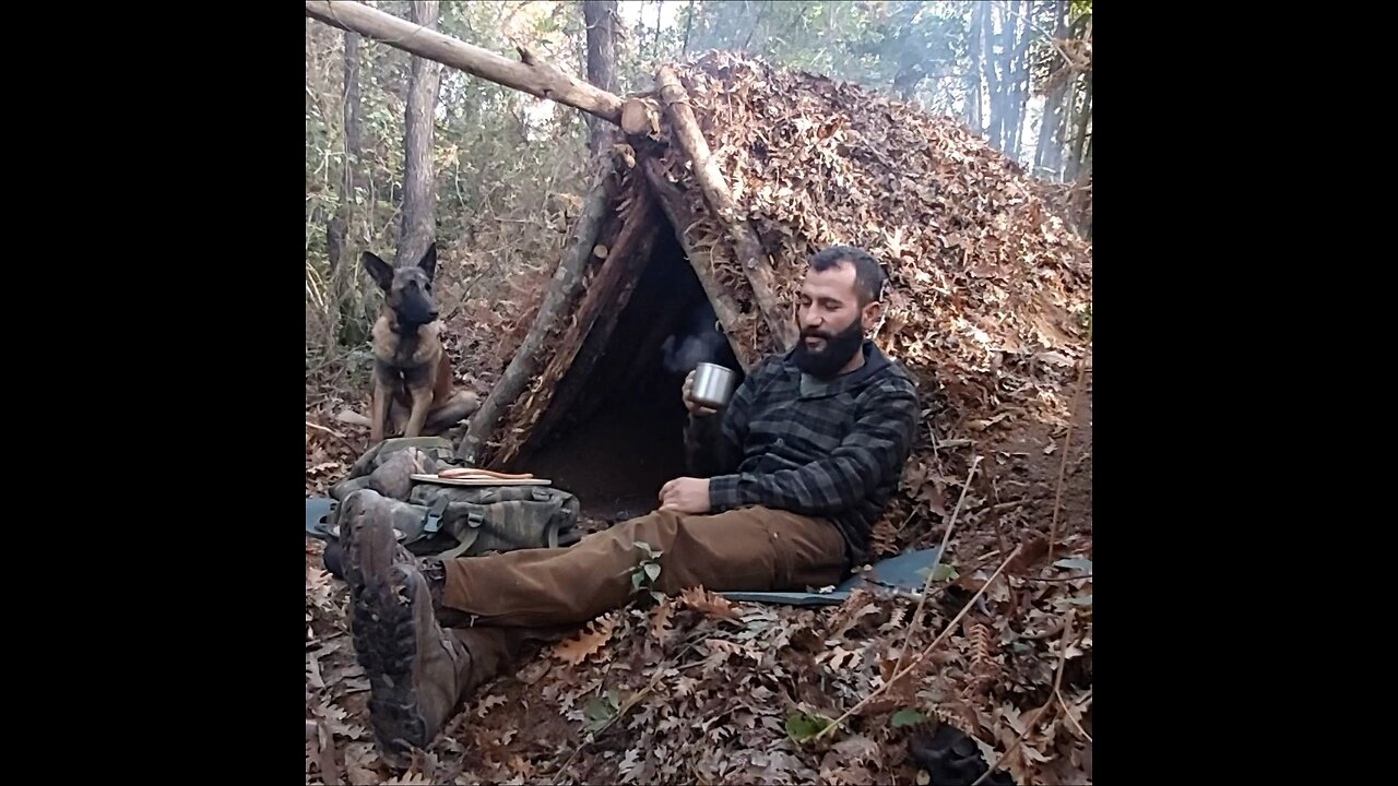 Build undergorund shelter in the forest