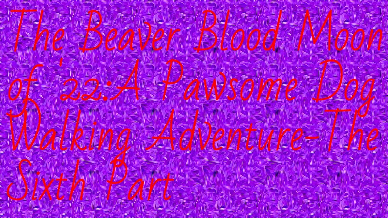 The Beaver Blood Moon of '22:A Pawsome Dog Walking Adventure-The Sixth Part