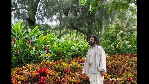 Hope Hawaii - HOPE Comes to You