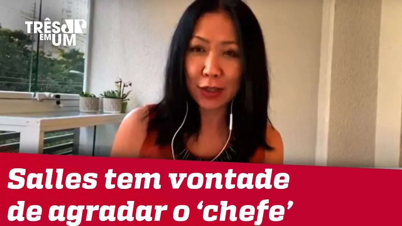 #ThaísOyama: Por que Salles não se atém aos problemas da pasta dele que são muitos?
