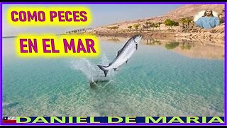 COMO PECES EN EL MAR - MENSAJE DE JESUCRISTO REY A DANIEL DE MARIA 19 DICIEMBRE 2022