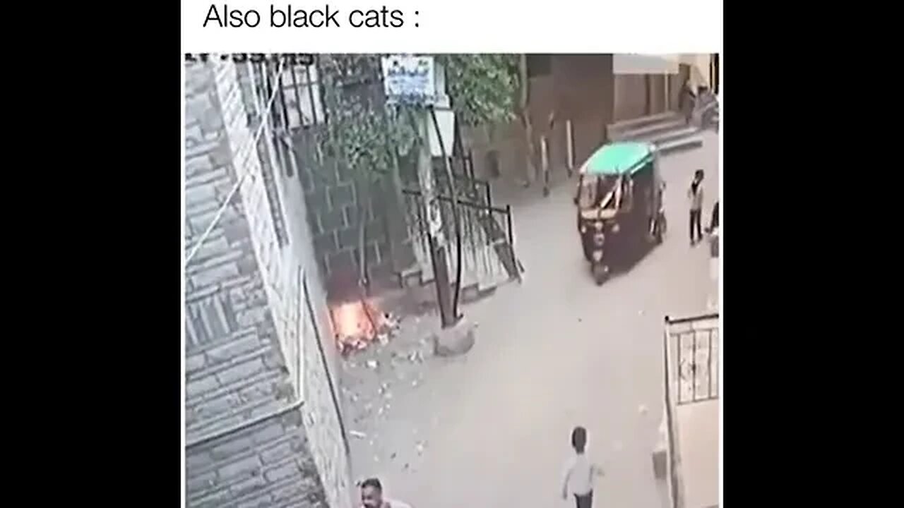 BLACK CAT