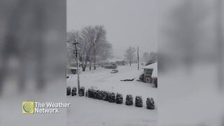 Gentle snowfall in Eastern Ontario