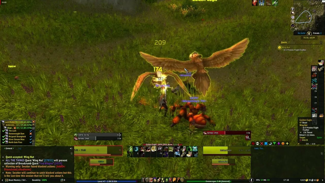 World of Warcraft Wing Nut