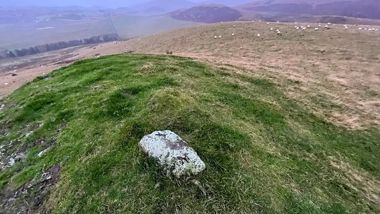 Nine Mile Burn - Dod Hill - Camp Hill - Roman Road - Pillar Knowe loop