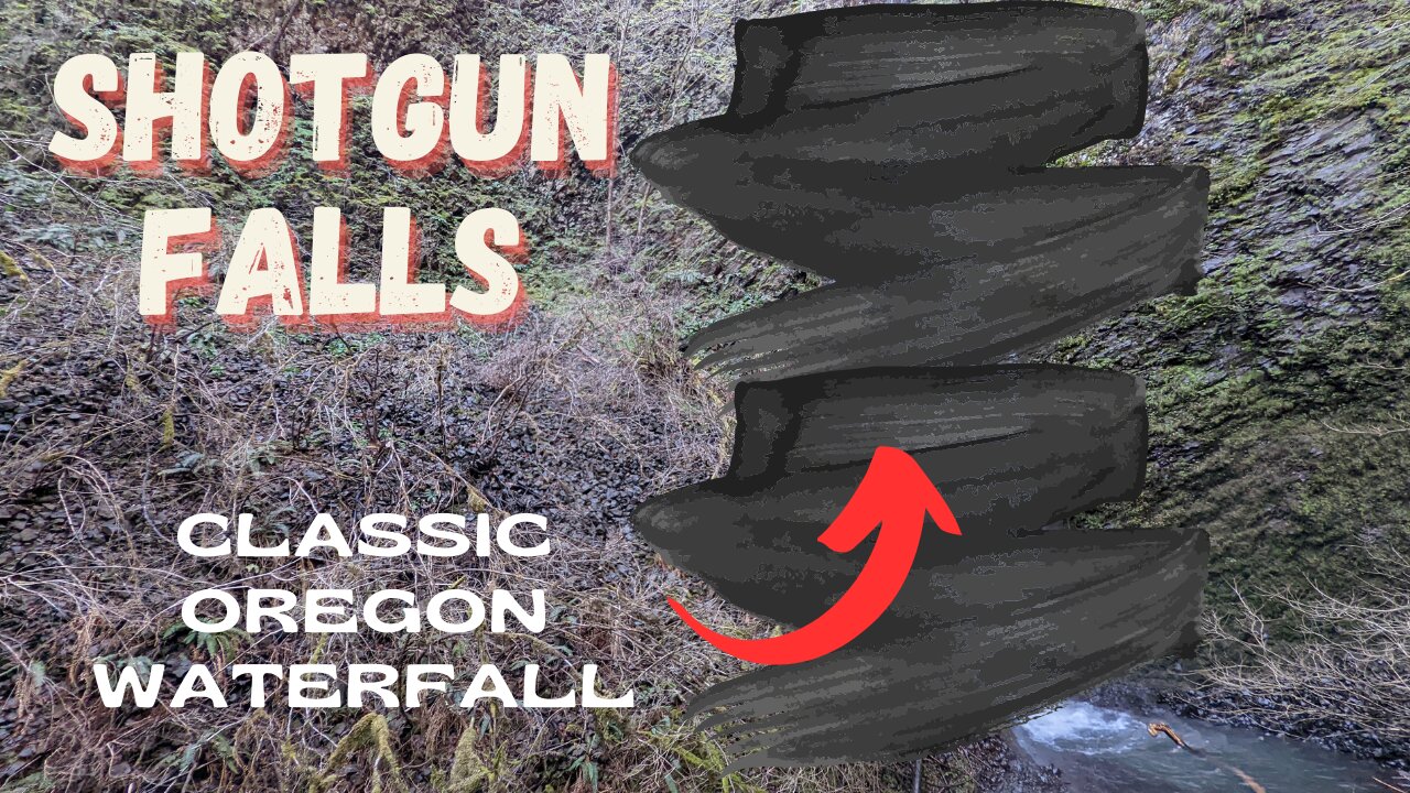 A creek, a waterfall, and a dead beaver | Shotgun Falls | Pacific Northwest