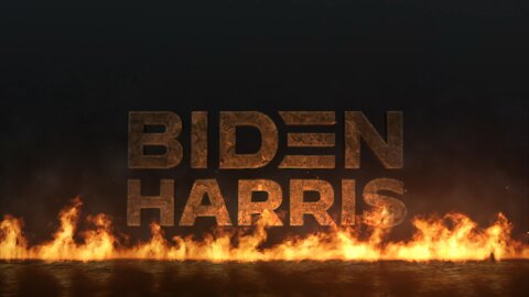 BIDEN HARRIS KAMACULA