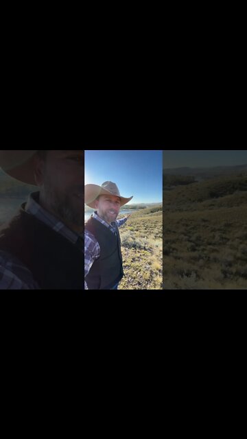 Look What Rain Does!