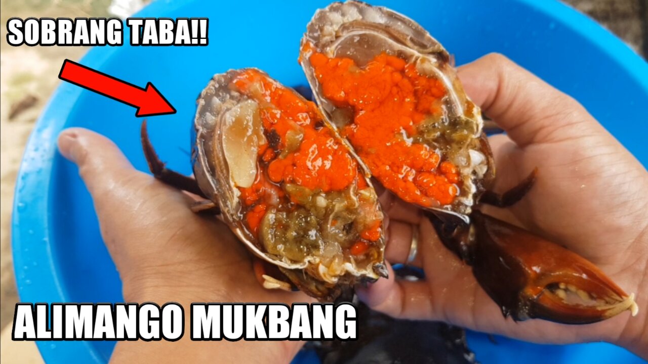 MUD CRAB MUKBANG | SOBRANG TABA NG ALIMANGO