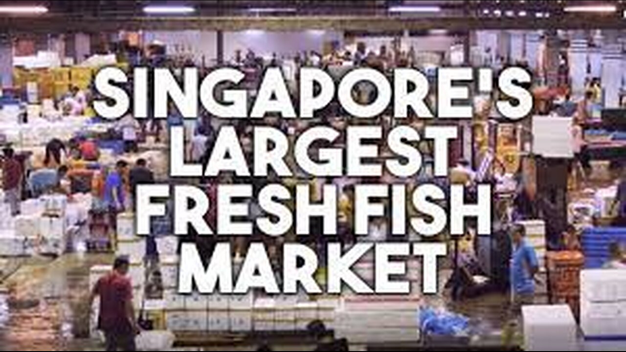 Hai Sia Seafood: Singapore's Own "Tsukiji" Fish Market