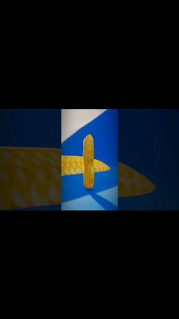 Lost Butter Corn Civilization... #shorts #short #buttercorn