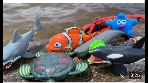 Sea Animal Toys This Summer at the Shore i n water