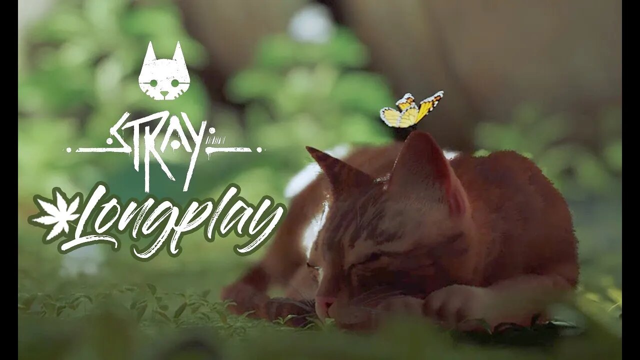 Stray | PC Blind Longplay | Full Movie No Commentary | SpliffyTV