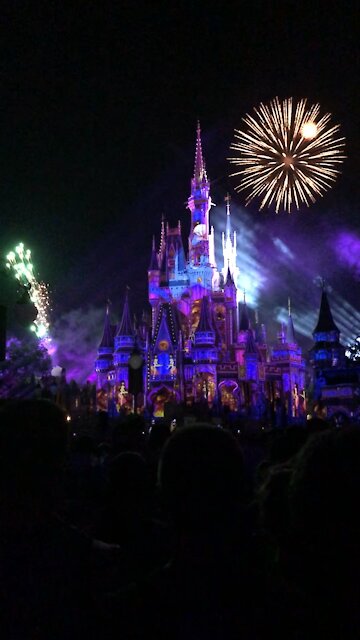 Disney world castle