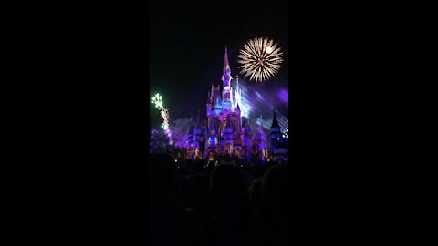 Disney world castle