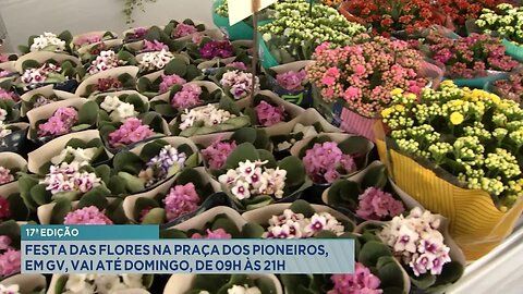 17ª Edição: Festa das Flores na Praça dos Pioneiros, em GV, vai até Domingo, de 09h às 21h.