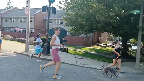 the road to Wellness