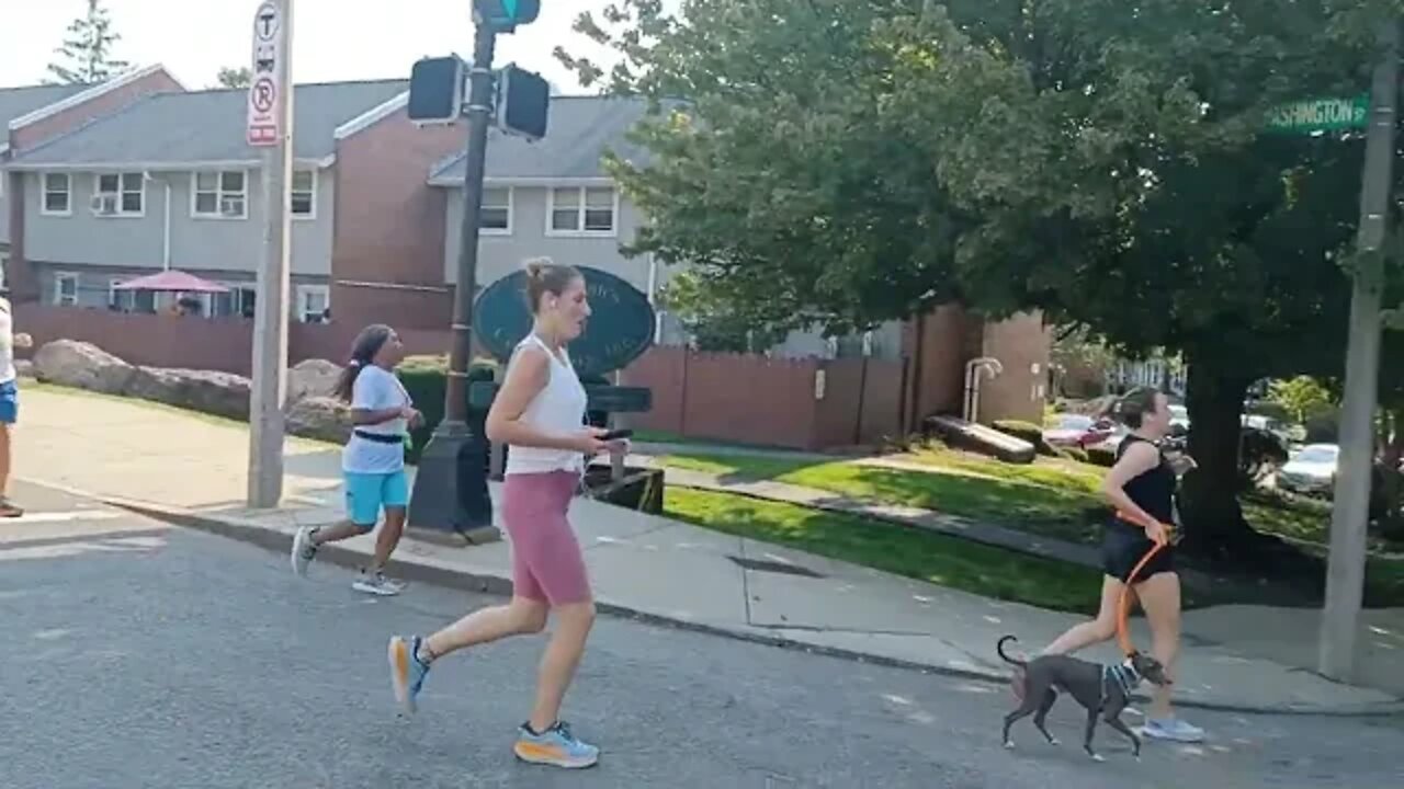 the road to Wellness