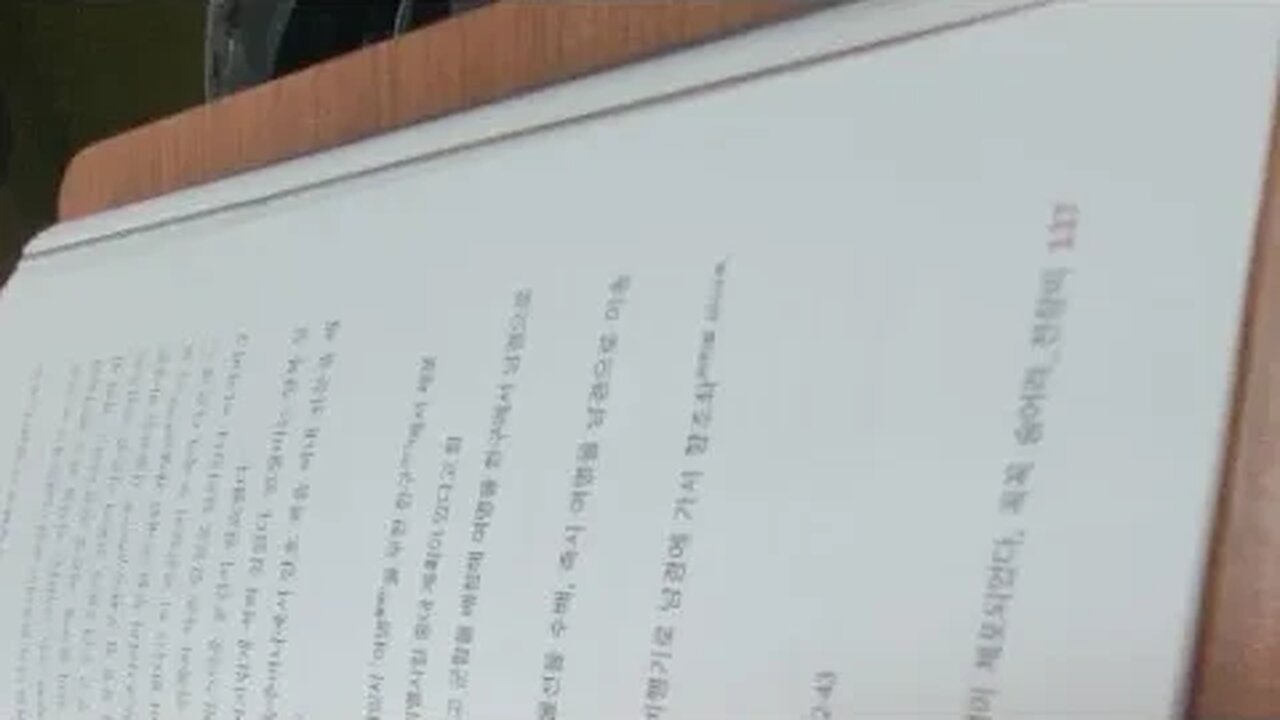 중국공산당의 스파이전쟁 홍윤표 여명이체포되었다 꼭꼭숨어라 전장비남경 번화가 중산대로 회사 정원실업사 중앙조직부 당무조사과 위장조직 사무실 서류 일본책 서은중 호북성성장 하성준