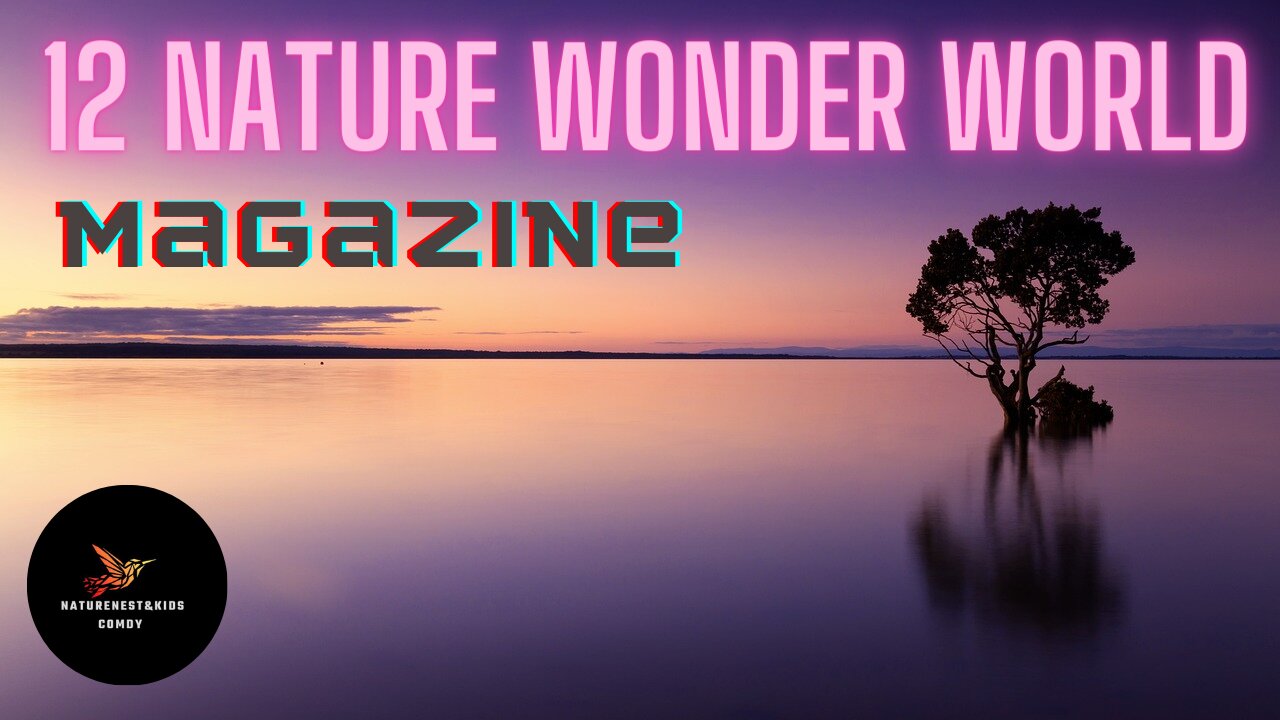 12 Nature Wonder World | NatureNest Kids & Comedy |Amazon Rainforest|