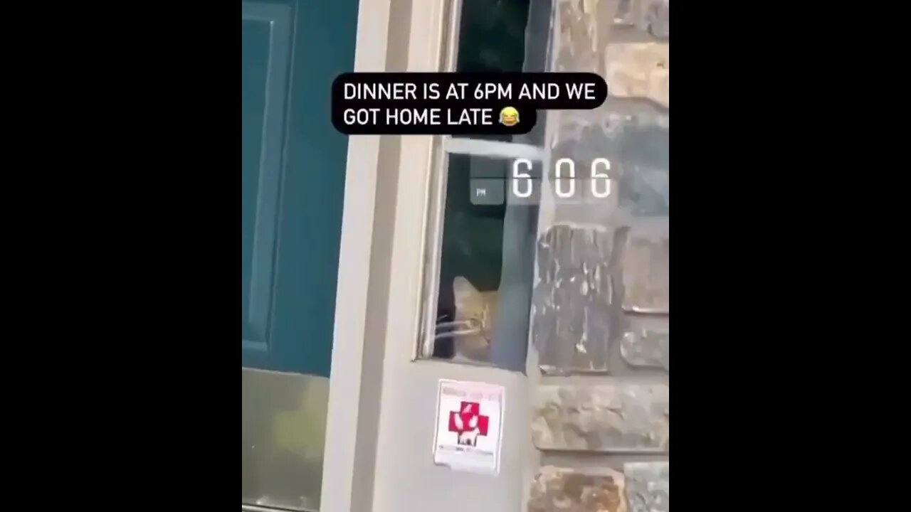 ۳ دسامبر ۲۰۲۲