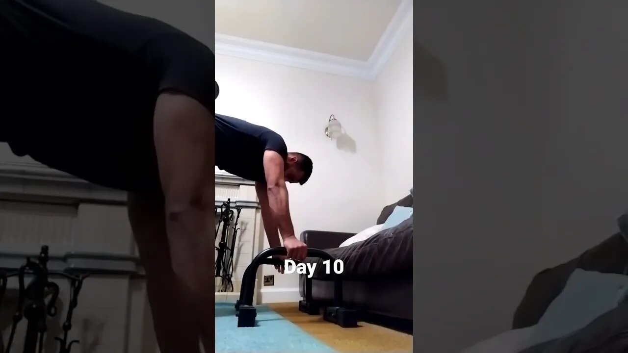 Day 10 - Learning How To Do Handstand Push Ups