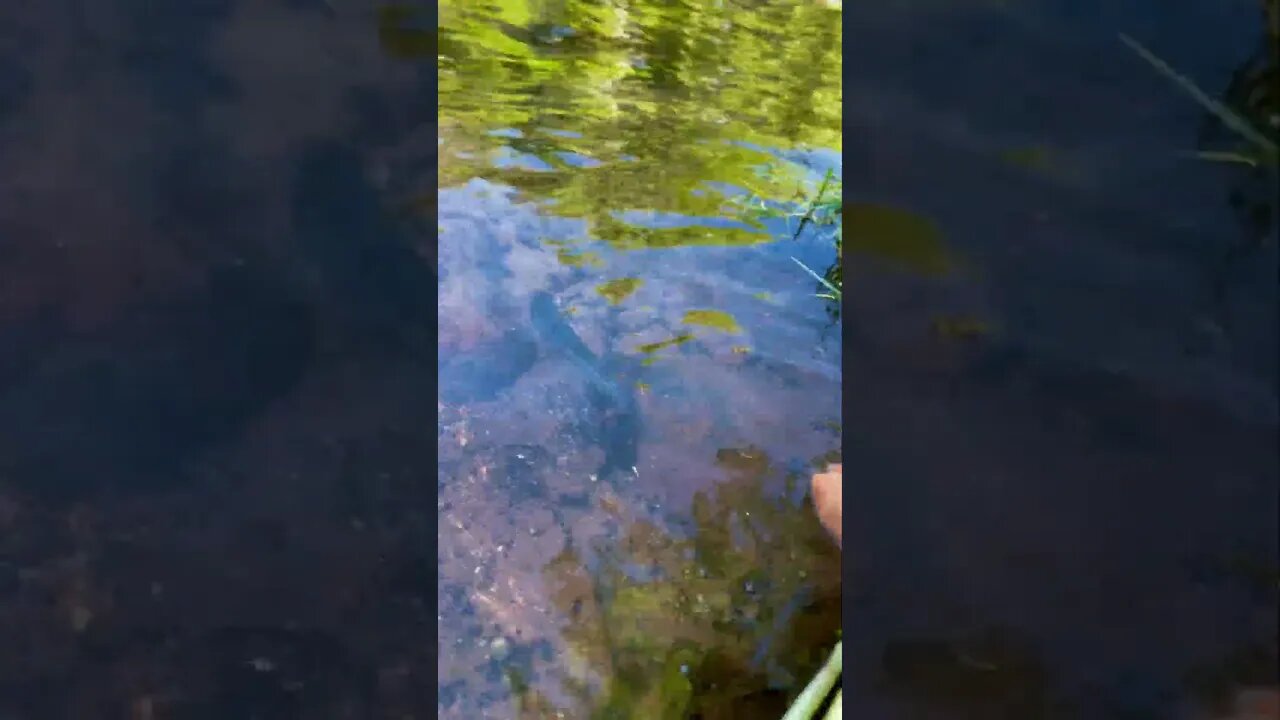 Looks like it’s that time of year again! Escaping the heat… #fishing #shorts #summer #outdoors