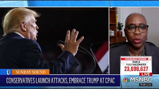 MSNBC Triggered When Goya Foods CEO Backs Trump At CPAC