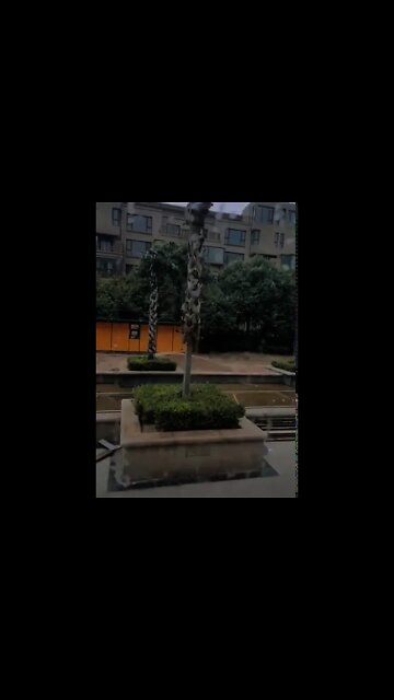 Make China Green Again ! 「鐵石心腸」新解