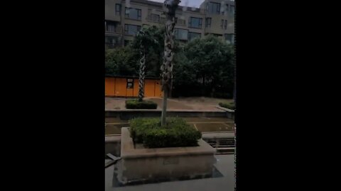 Make China Green Again ! 「鐵石心腸」新解