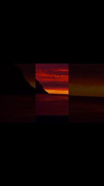 RELAXING MUSIC/DEEP SLEEP MUSIC/ambience music #shorts