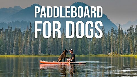 HSK9 Paddleboard Review – Why It’s Great for You and Your Dog