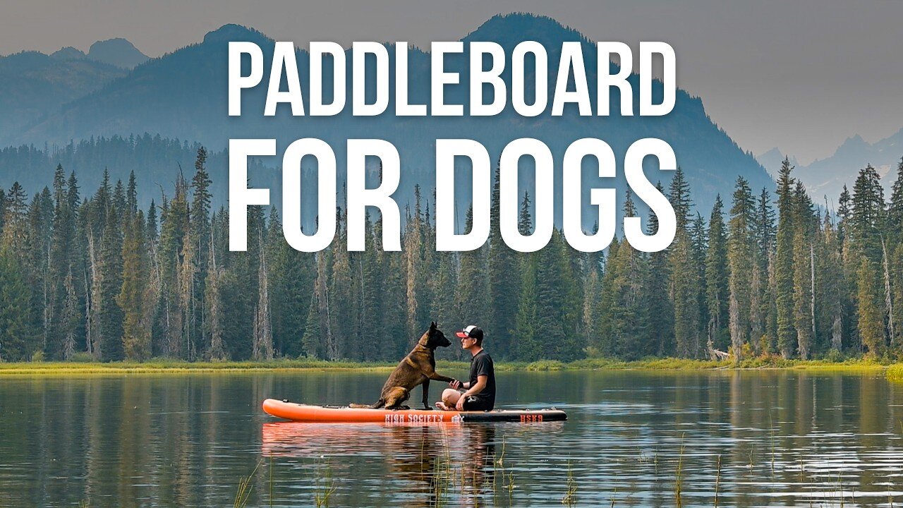 HSK9 Paddleboard Review – Why It’s Great for You and Your Dog