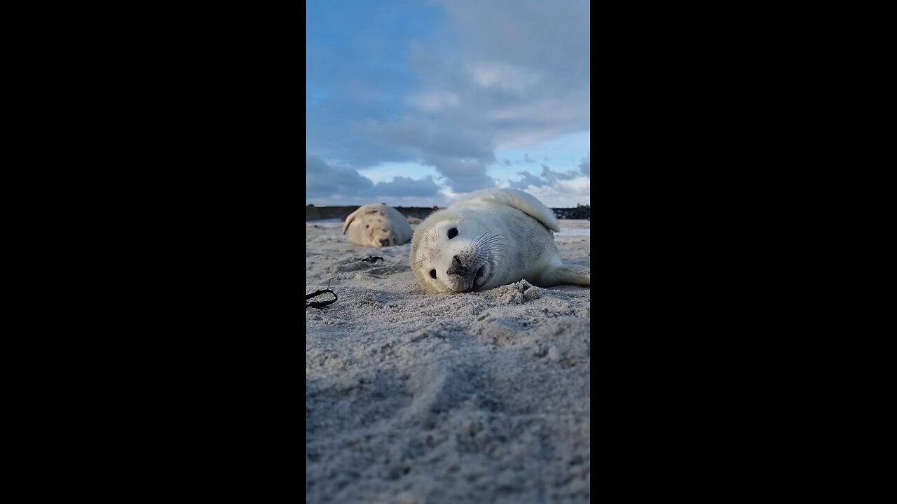 the beauties of the ice beach...!