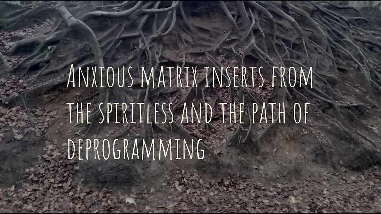 Anxious matrix inserts from the spiritless and the path of deep deprogramming