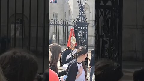 Little scare #horseguardsparade