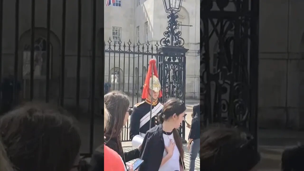 Little scare #horseguardsparade