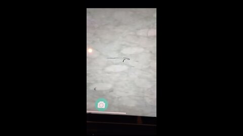 Morgellons seen in the masks!