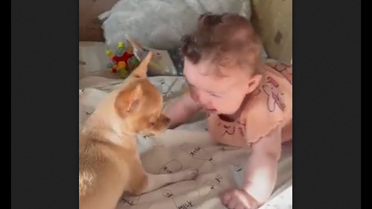 Two sweet little innocents understand each other's language