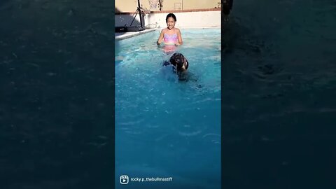 Rocky learns to swim #bullmastiff #puppy #cutepuppy #afv #dogsofyt #shorts #ytshorts #funny