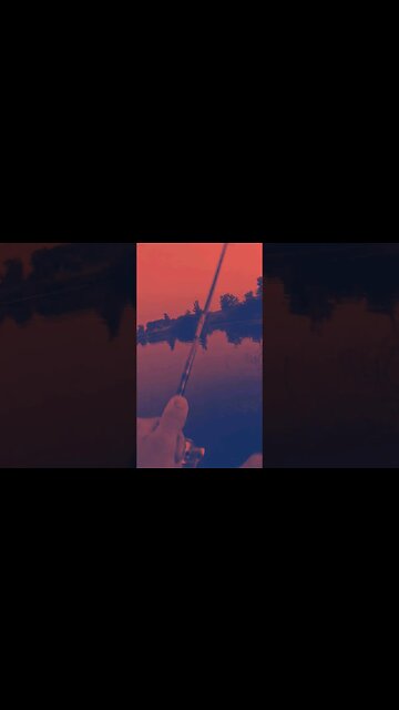 When You Know You Missed The BIG ONE!#shorts